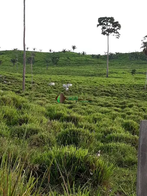Foto 7 de Fazenda / Haras à venda, 4200m2 em Sao Felix Do Xingu - PA