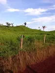 Imagem 12