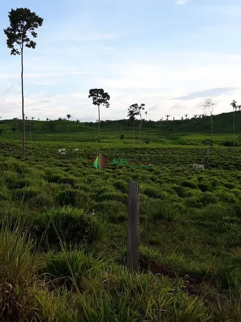 Foto 6 de Fazenda / Haras à venda, 4200m2 em Sao Felix Do Xingu - PA