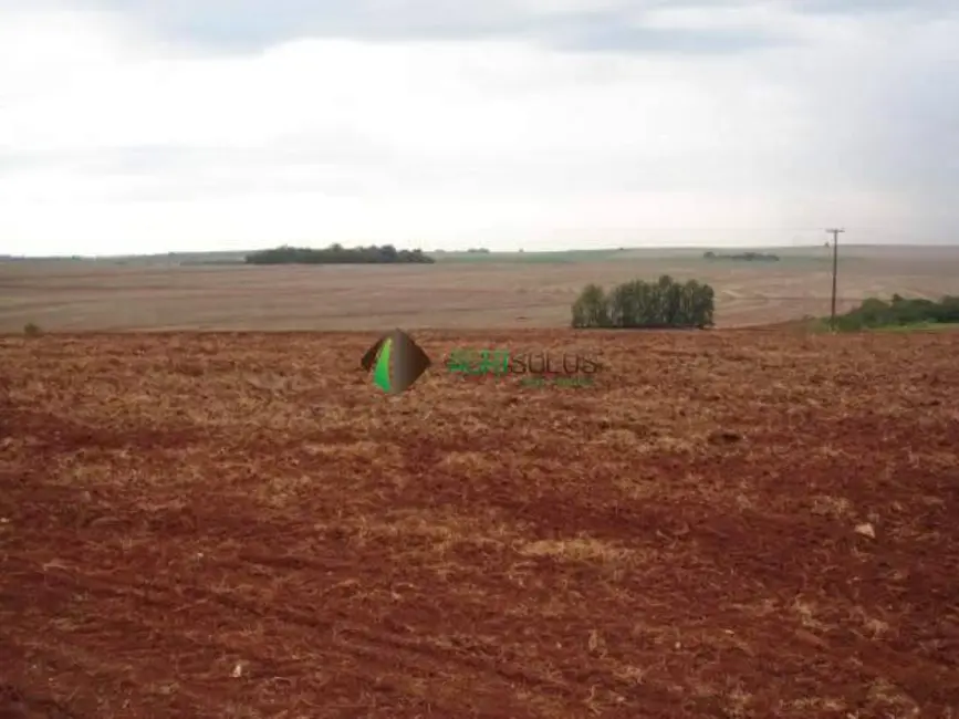 Fazenda / Haras à venda, 1800m2 em Londrina - PR - imagem 4 Foto 4 de Fazenda / Haras à venda, 1800m2 em Londrina - PR