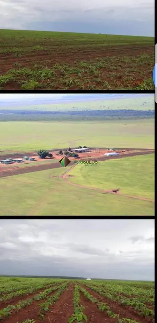 Fazenda / Haras à venda, 16968m2 em Primavera Do Leste - MT - imagem 1 Foto 1 de Fazenda / Haras à venda, 16968m2 em Primavera Do Leste - MT