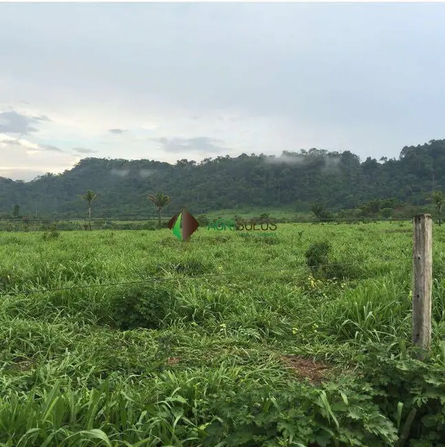 Foto 9 de Fazenda / Haras à venda, 32000m2 em Sao Felix Do Xingu - PA