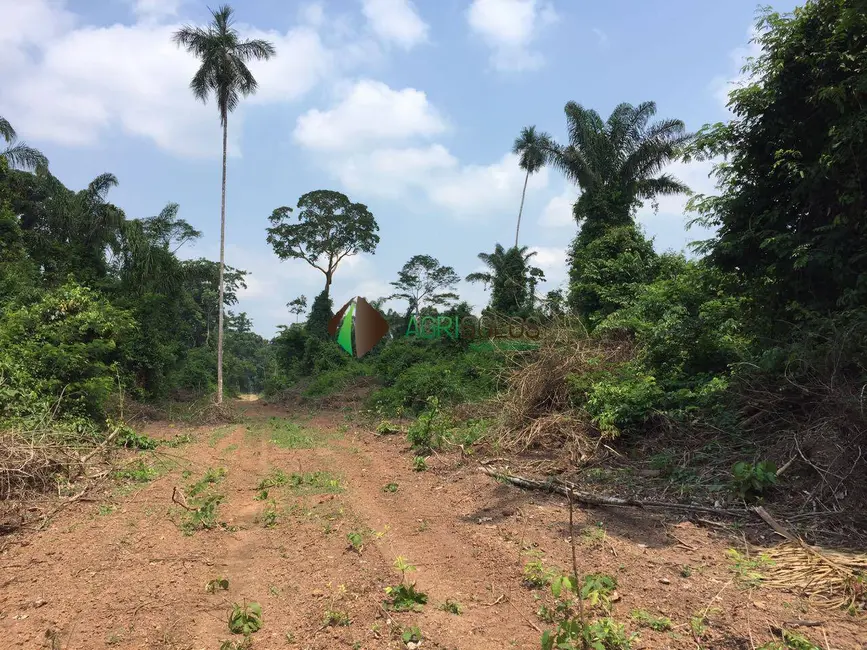 Foto 4 de Fazenda / Haras à venda, 32000m2 em Sao Felix Do Xingu - PA