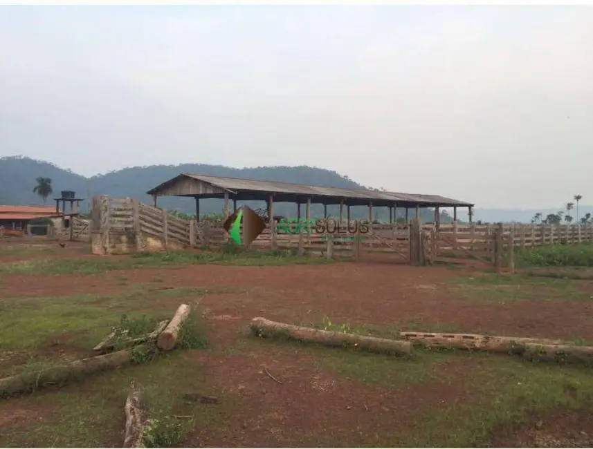 Foto 10 de Fazenda / Haras à venda, 32000m2 em Sao Felix Do Xingu - PA