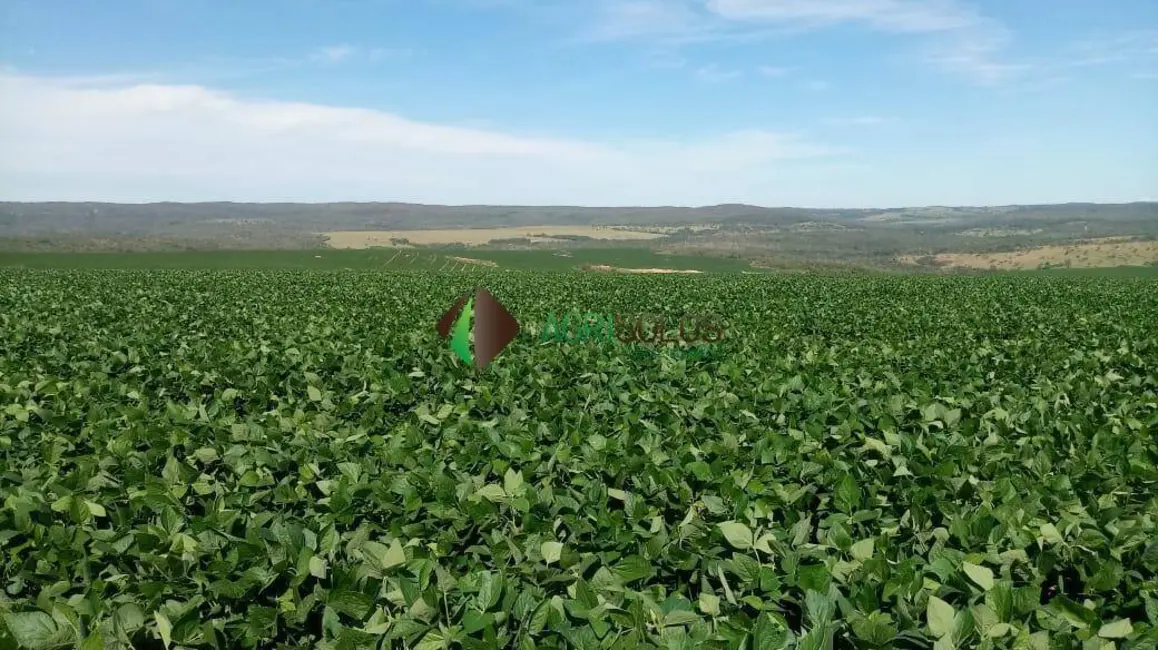 Fazenda / Haras à venda, 8100m2 em Rio Verde - GO - imagem 4 Foto 4 de Fazenda / Haras à venda, 8100m2 em Rio Verde - GO