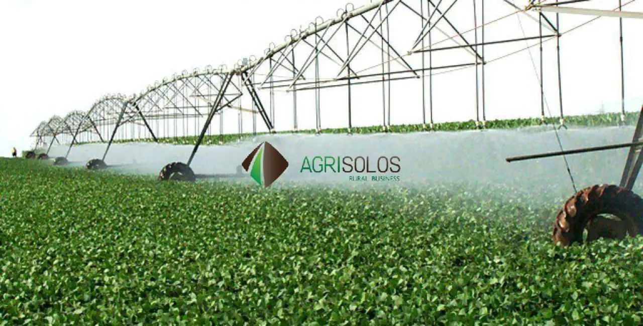 Fazenda / Haras à venda, 8100m2 em Rio Verde - GO - imagem 3 Foto 3 de Fazenda / Haras à venda, 8100m2 em Rio Verde - GO