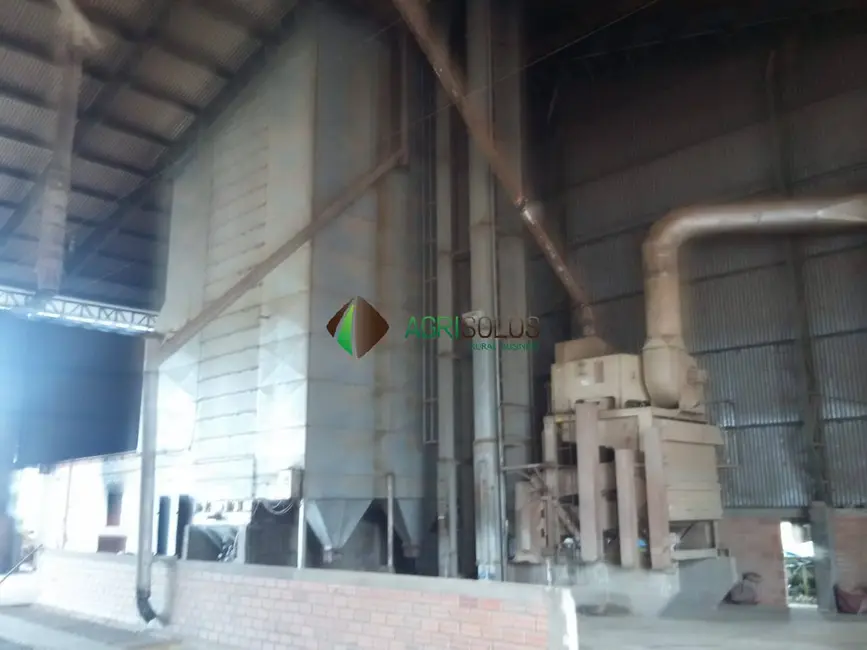 Foto 2 de Fazenda / Haras à venda, 10000m2 em Campos De Julio - MT