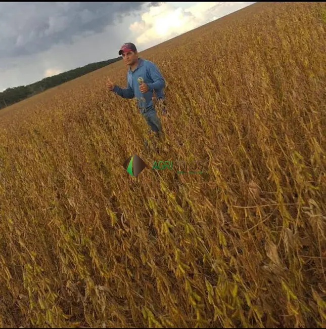 Foto 3 de Fazenda / Haras à venda, 10000m2 em Campos De Julio - MT