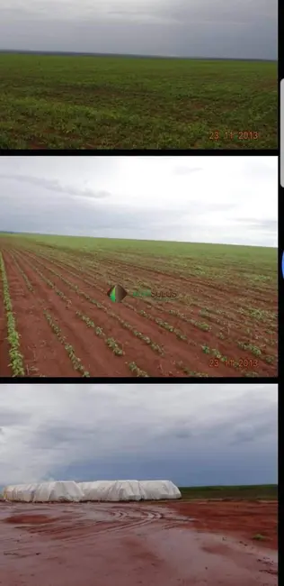 Fazenda / Haras à venda, 17000m2 em Primavera Do Leste - MT - imagem 9 Foto 9 de Fazenda / Haras à venda, 17000m2 em Primavera Do Leste - MT