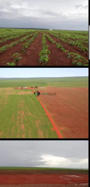 Fazenda / Haras à venda, 17000m2 em Primavera Do Leste - MT - imagem 3 Foto 3 de Fazenda / Haras à venda, 17000m2 em Primavera Do Leste - MT