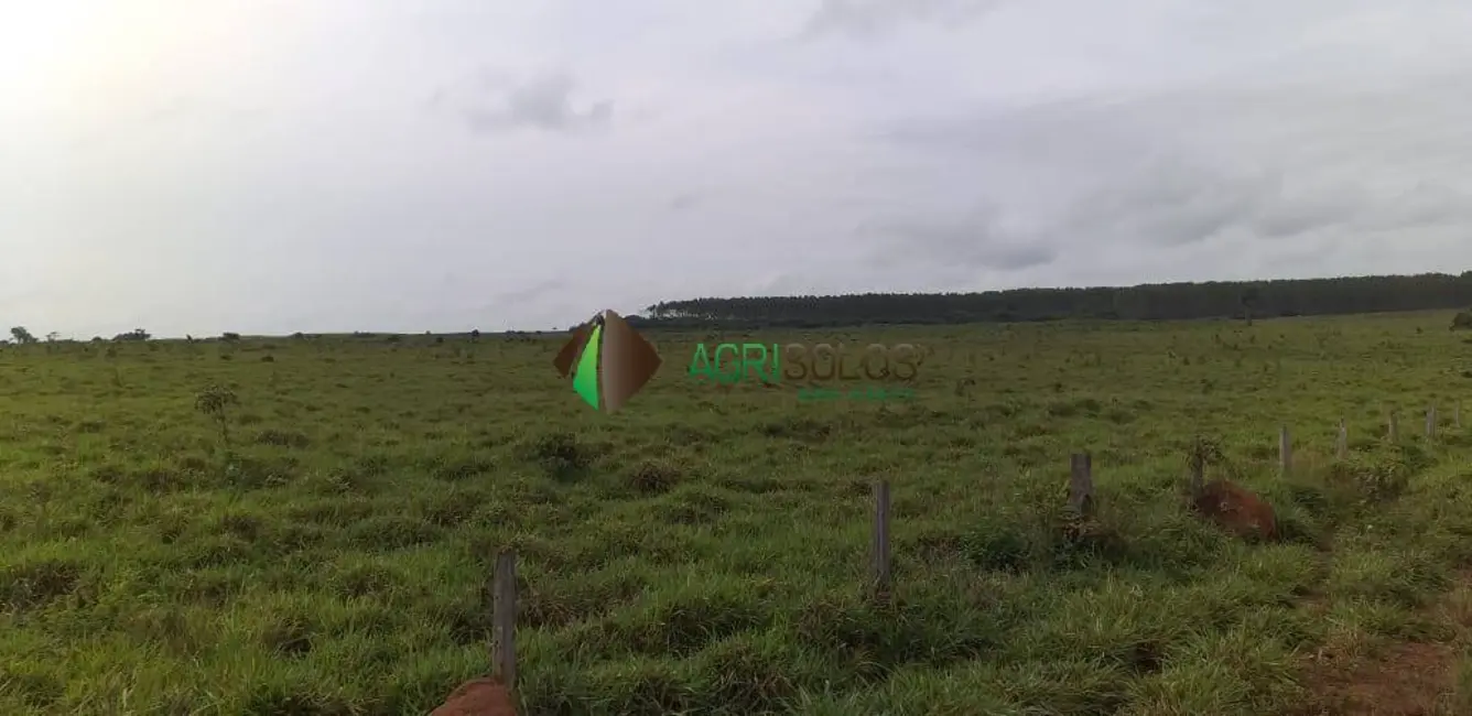 Foto 4 de Fazenda / Haras à venda, 90000m2 em Ananas - TO