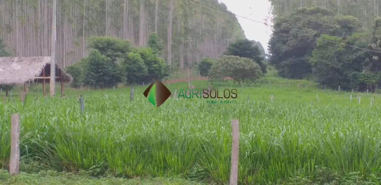 Foto 1 de Fazenda / Haras à venda, 90000m2 em Ananas - TO