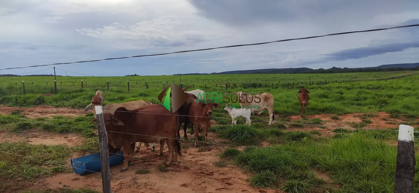 Foto 2 de Fazenda / Haras à venda, 5000m2 em Ribas Do Rio Pardo - MS