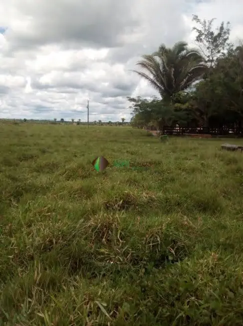 Foto 1 de Fazenda / Haras à venda, 5000m2 em Ribas Do Rio Pardo - MS