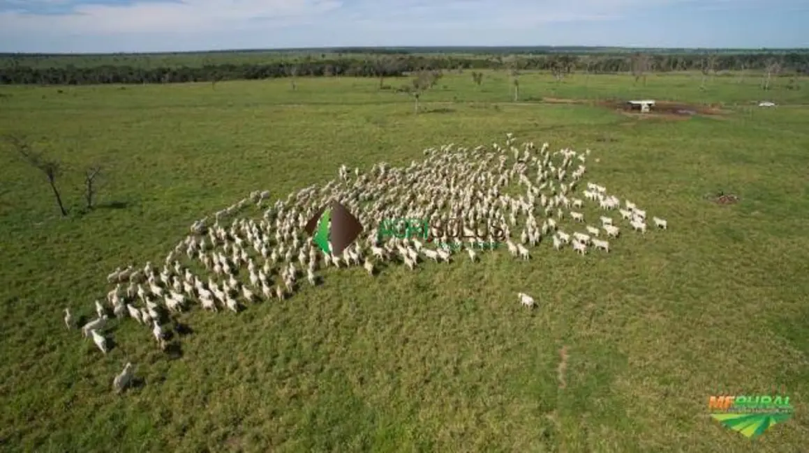 Foto 5 de Fazenda / Haras à venda, 43000m2 em Lagoa Da Confusao - TO