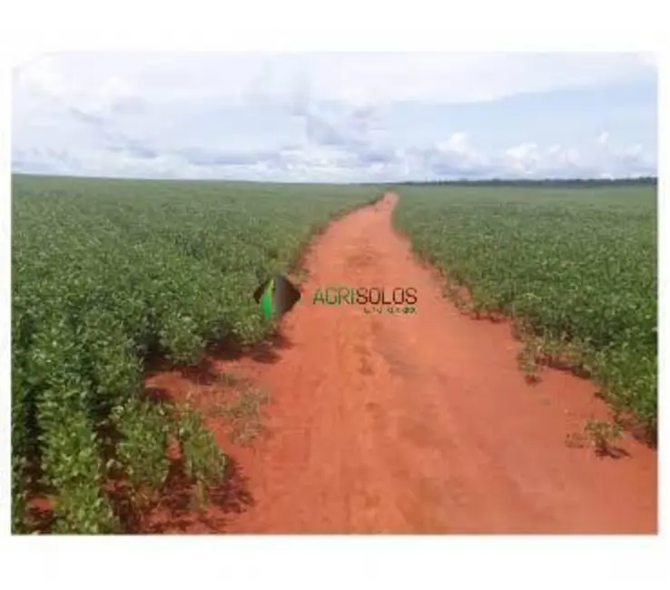 Foto 3 de Fazenda / Haras à venda, 43000m2 em Lagoa Da Confusao - TO