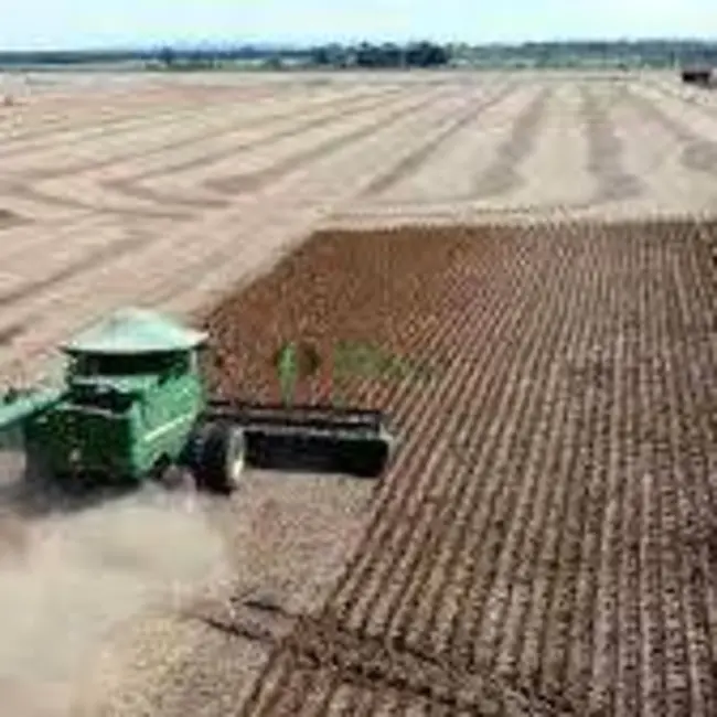 Foto 2 de Fazenda / Haras à venda, 43000m2 em Lagoa Da Confusao - TO