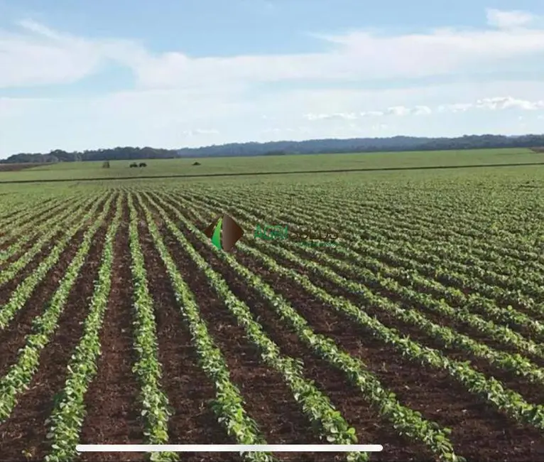 Fazenda / Haras à venda, 5650m2 em Bonito - MS - imagem 7 Foto 7 de Fazenda / Haras à venda, 5650m2 em Bonito - MS