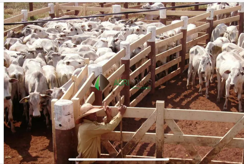 Fazenda / Haras à venda, 5650m2 em Bonito - MS - imagem 3 Foto 3 de Fazenda / Haras à venda, 5650m2 em Bonito - MS