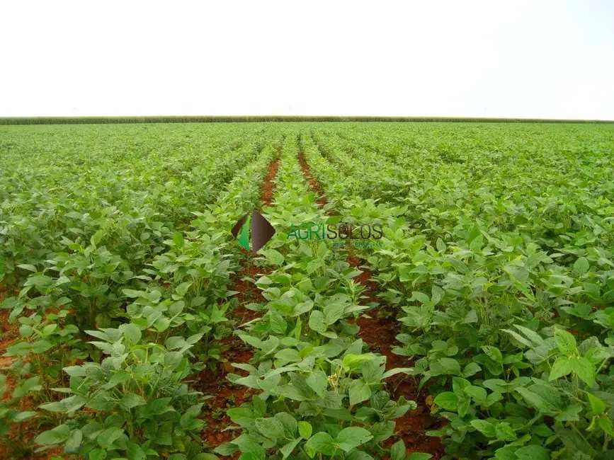 Fazenda / Haras à venda, 4500m2 em Sorriso - MT - imagem 3 Foto 3 de Fazenda / Haras à venda, 4500m2 em Sorriso - MT