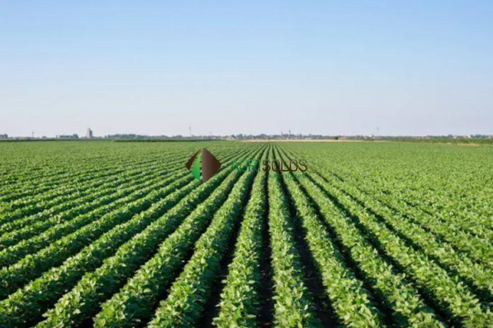 Fazenda / Haras à venda, 4500m2 em Sorriso - MT - imagem 4 Foto 4 de Fazenda / Haras à venda, 4500m2 em Sorriso - MT