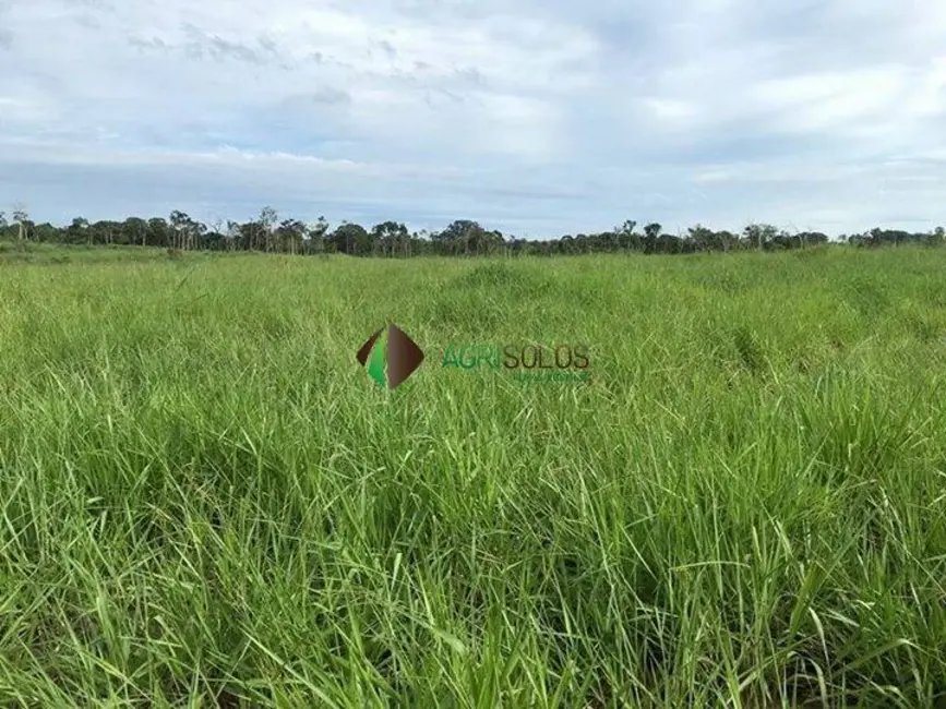 Foto 4 de Fazenda / Haras à venda, 46200m2 em Juina - MT