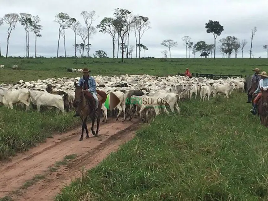 Foto 5 de Fazenda / Haras à venda, 46200m2 em Juina - MT