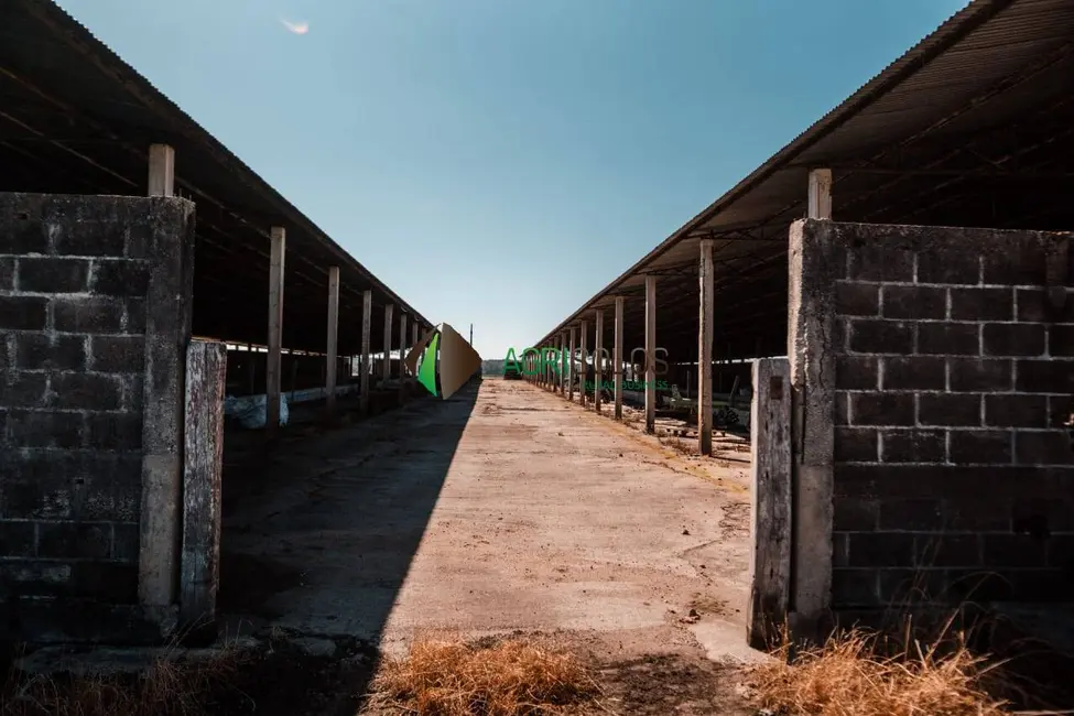 Foto 2 de Fazenda / Haras à venda, 344m2 em Tijucas Do Sul - PR