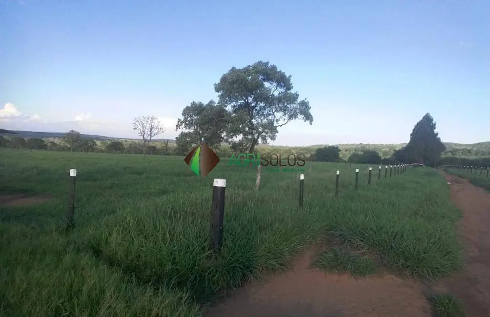 Fazenda / Haras à venda, 400m2 em Goiania - GO - imagem 4 Foto 4 de Fazenda / Haras à venda, 400m2 em Goiania - GO