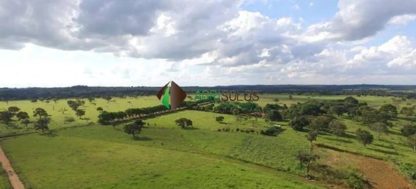 Fazenda / Haras à venda, 400m2 em Goiania - GO - imagem 8 Foto 8 de Fazenda / Haras à venda, 400m2 em Goiania - GO