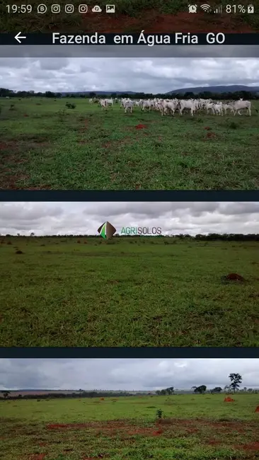 Foto 3 de Fazenda / Haras à venda, 970m2 em Goiania - GO