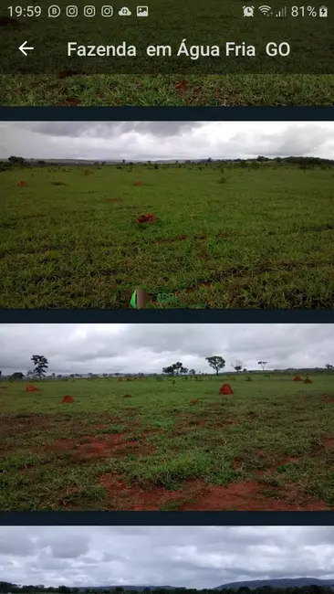 Foto 2 de Fazenda / Haras à venda, 970m2 em Goiania - GO