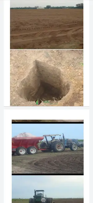 Fazenda / Haras à venda, 4000m2 em Sorriso - MT - imagem 7 Foto 7 de Fazenda / Haras à venda, 4000m2 em Sorriso - MT