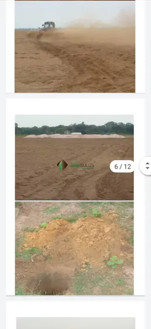 Fazenda / Haras à venda, 4000m2 em Sorriso - MT - imagem 4 Foto 4 de Fazenda / Haras à venda, 4000m2 em Sorriso - MT