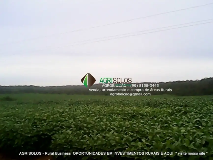 Fazenda / Haras à venda, 1200m2 em Balsas - MA - imagem 4 Foto 4 de Fazenda / Haras à venda, 1200m2 em Balsas - MA