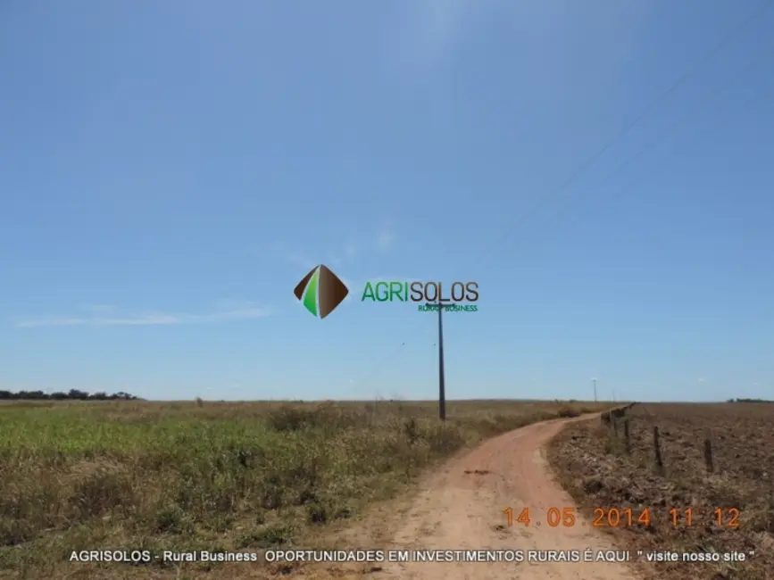 Fazenda / Haras à venda, 1200m2 em Balsas - MA - imagem 8 Foto 8 de Fazenda / Haras à venda, 1200m2 em Balsas - MA