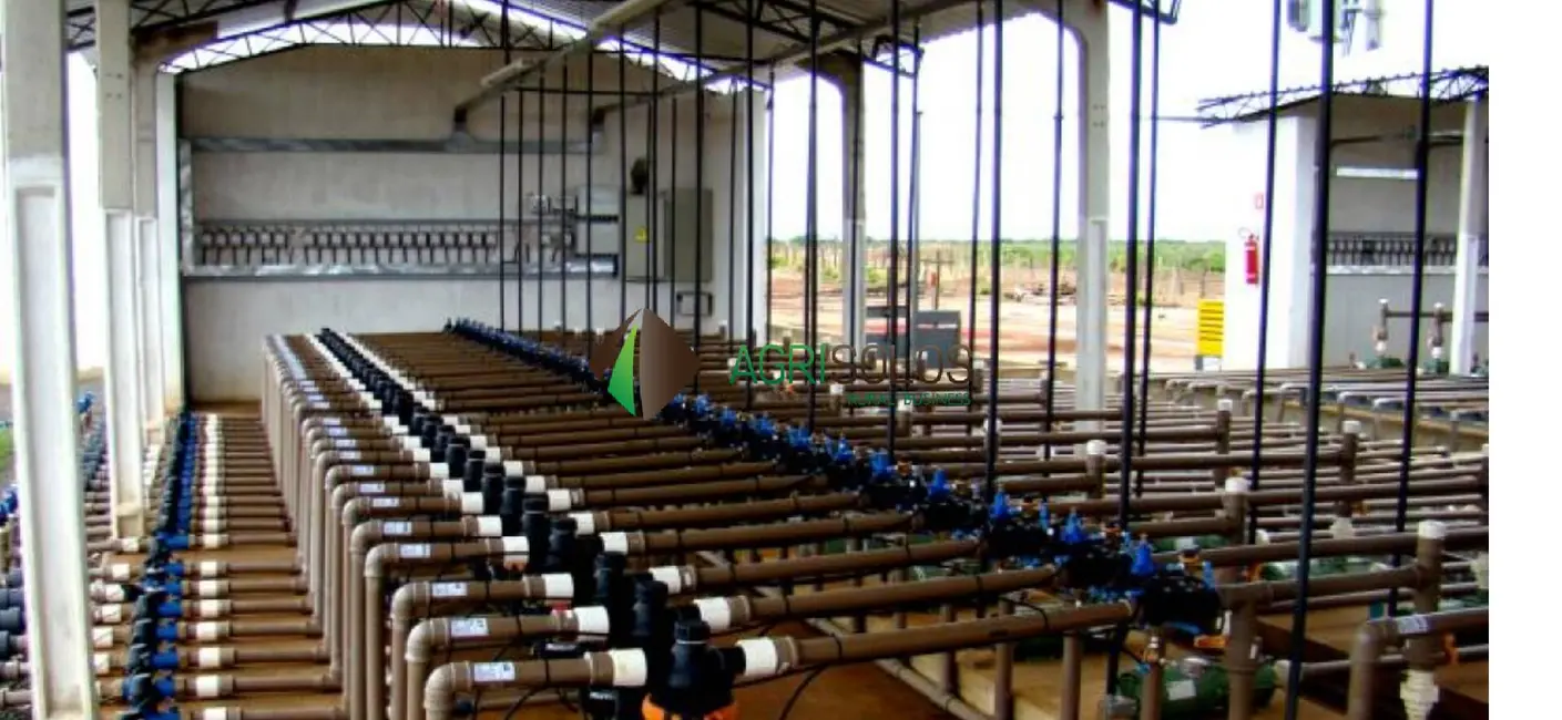 Fazenda / Haras à venda, 30000m2 em Barreiras Do Piaui - PI - imagem 7 Foto 7 de Fazenda / Haras à venda, 30000m2 em Barreiras Do Piaui - PI