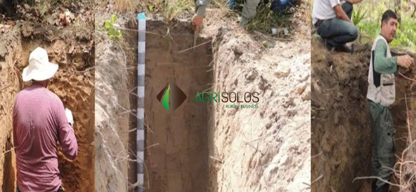 Fazenda / Haras à venda, 30000m2 em Barreiras Do Piaui - PI - imagem 8 Foto 8 de Fazenda / Haras à venda, 30000m2 em Barreiras Do Piaui - PI