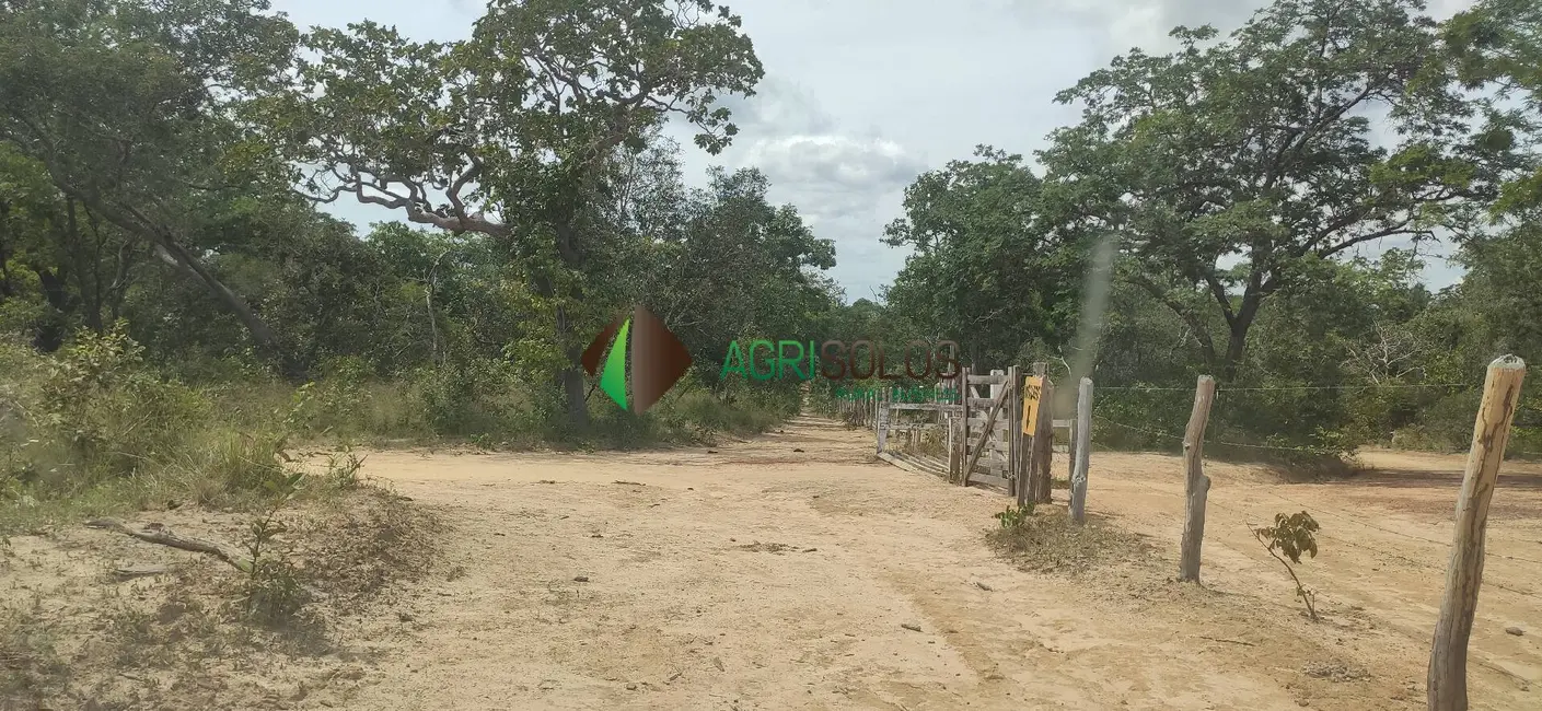 Foto 5 de Fazenda / Haras à venda, 40000m2 em Balsas - MA