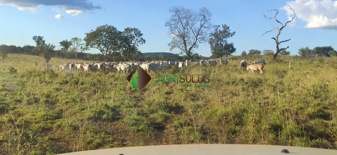 Foto 3 de Fazenda / Haras à venda, 40000m2 em Balsas - MA