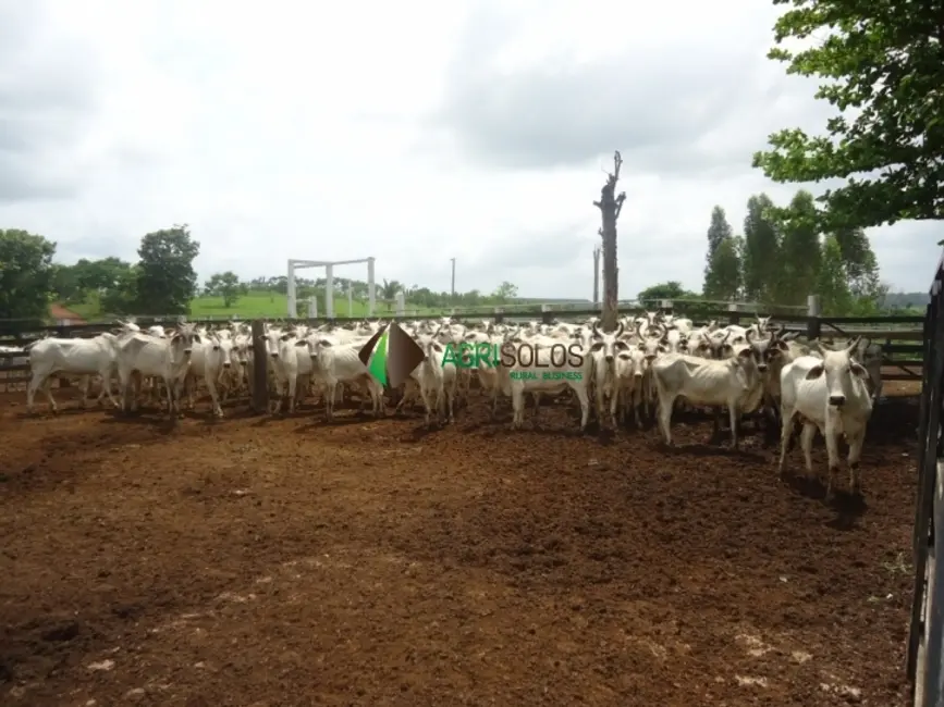Foto 4 de Fazenda / Haras à venda, 8800m2 em Paragominas - PA