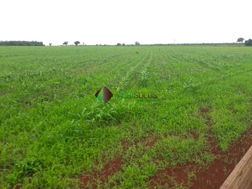 Foto 2 de Fazenda / Haras à venda, 5000m2 em Redencao - PA