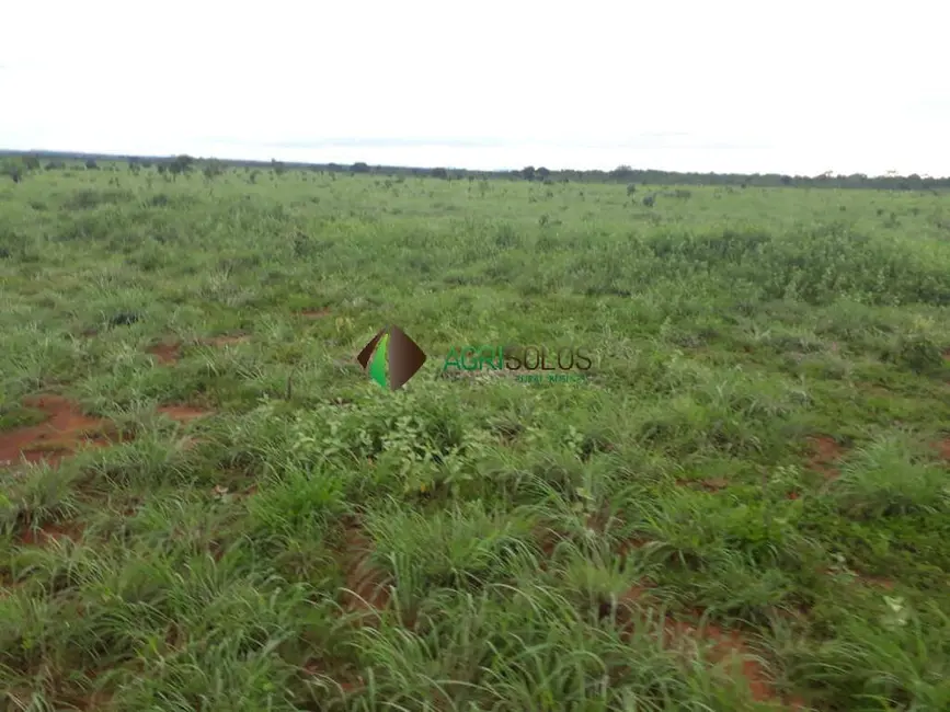 Foto 5 de Fazenda / Haras à venda, 5000m2 em Redencao - PA