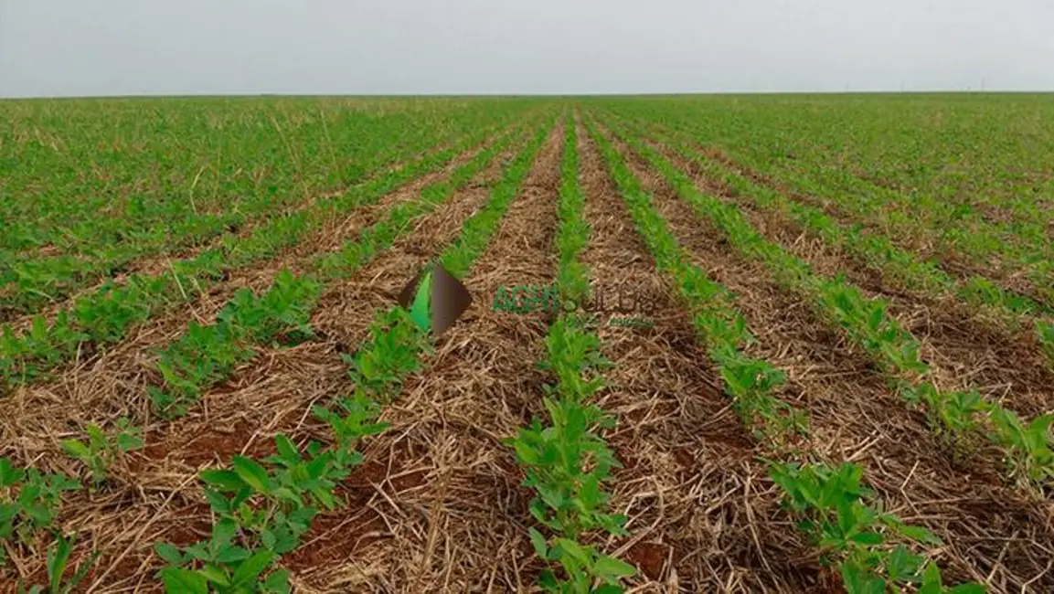 Foto 2 de Fazenda / Haras à venda, 42000m2 em Sao Jose Do Xingu - MT