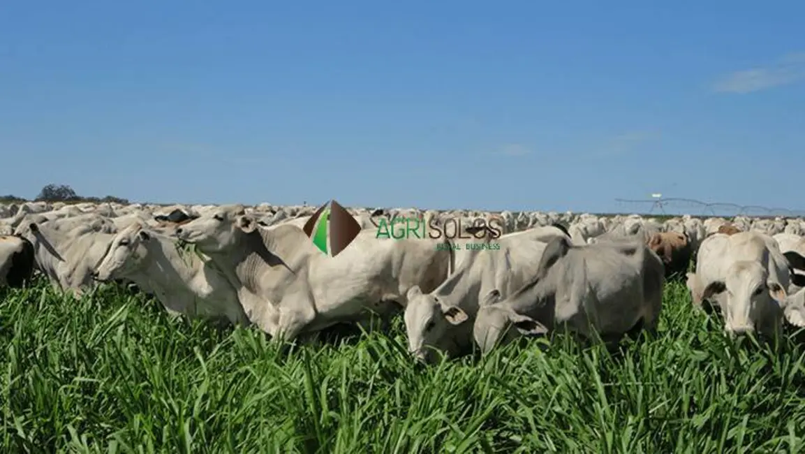 Foto 4 de Fazenda / Haras à venda, 42000m2 em Sao Jose Do Xingu - MT