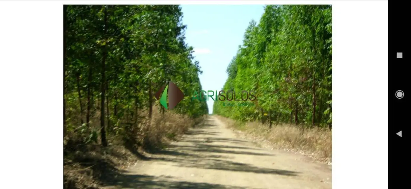 Foto 5 de Chácara à venda, 13600m2 em Balsas - MA