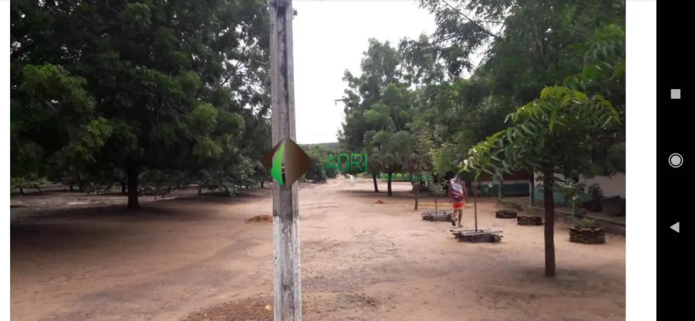 Foto 9 de Chácara à venda, 13600m2 em Balsas - MA