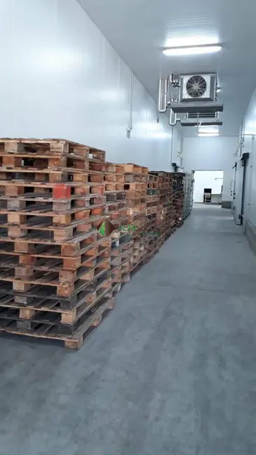 Chácara à venda, 80020m2 em Recife - PE - imagem 5 Foto 5 de Chácara à venda, 80020m2 em Recife - PE