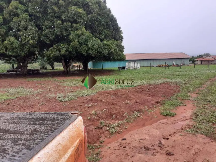 Foto 5 de Fazenda / Haras à venda, 31000m2 em Pontes E Lacerda - MT