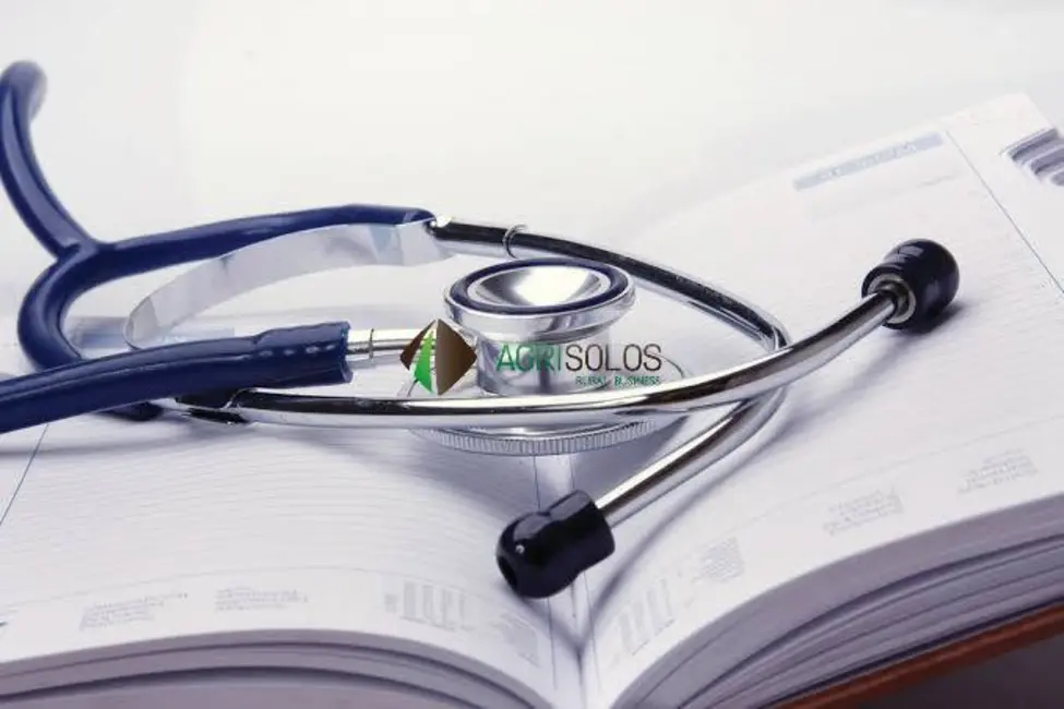 Foto 1 de Sala Comercial à venda, 13000m2 em São Paulo - SP